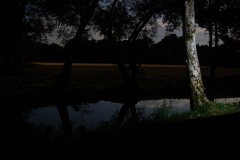 20200803_champagne_DAK_2094_small